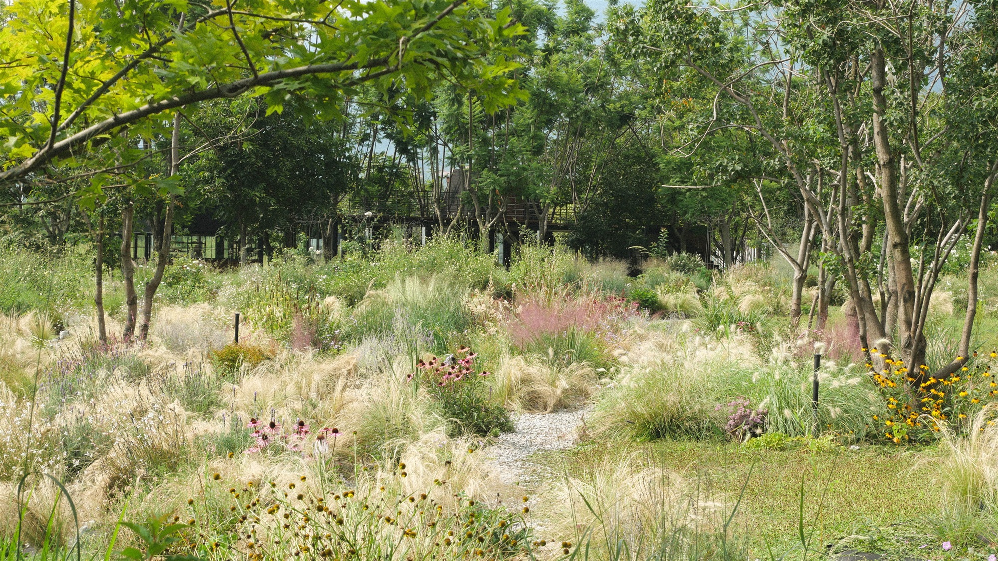 大理山下花园丨中国大理丨上海叙野景观设计有限公司-5