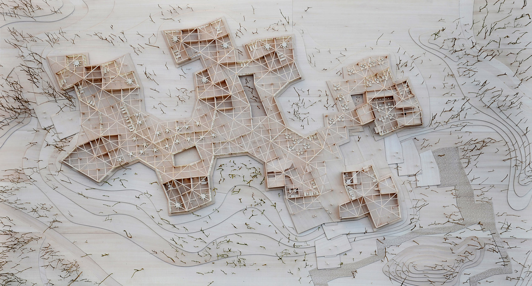 林建筑－与自然树木的共舞 / 迹·建筑事务所（华黎）-67