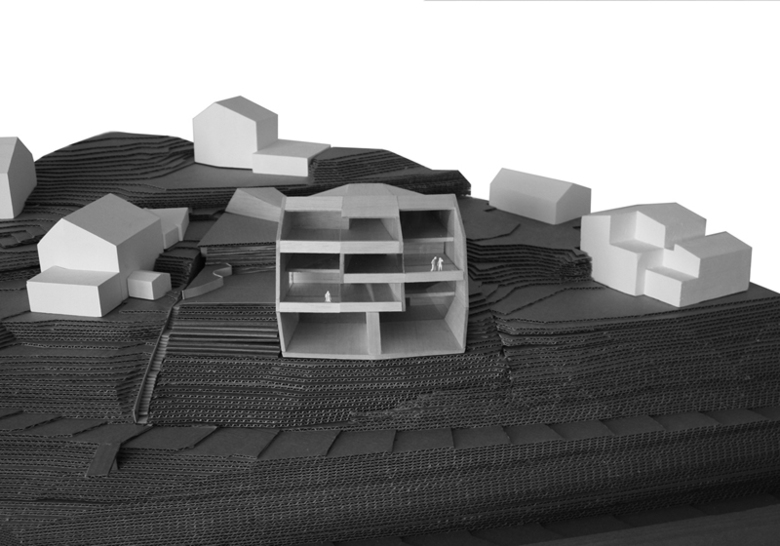 haefele schmid architekten ag丨«Motta Pitschna» MFH丨瑞士-6