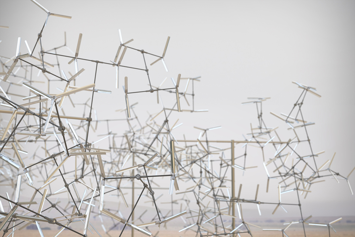 《分形群集》丨坦桑尼亚丨Vincent Leroy-23