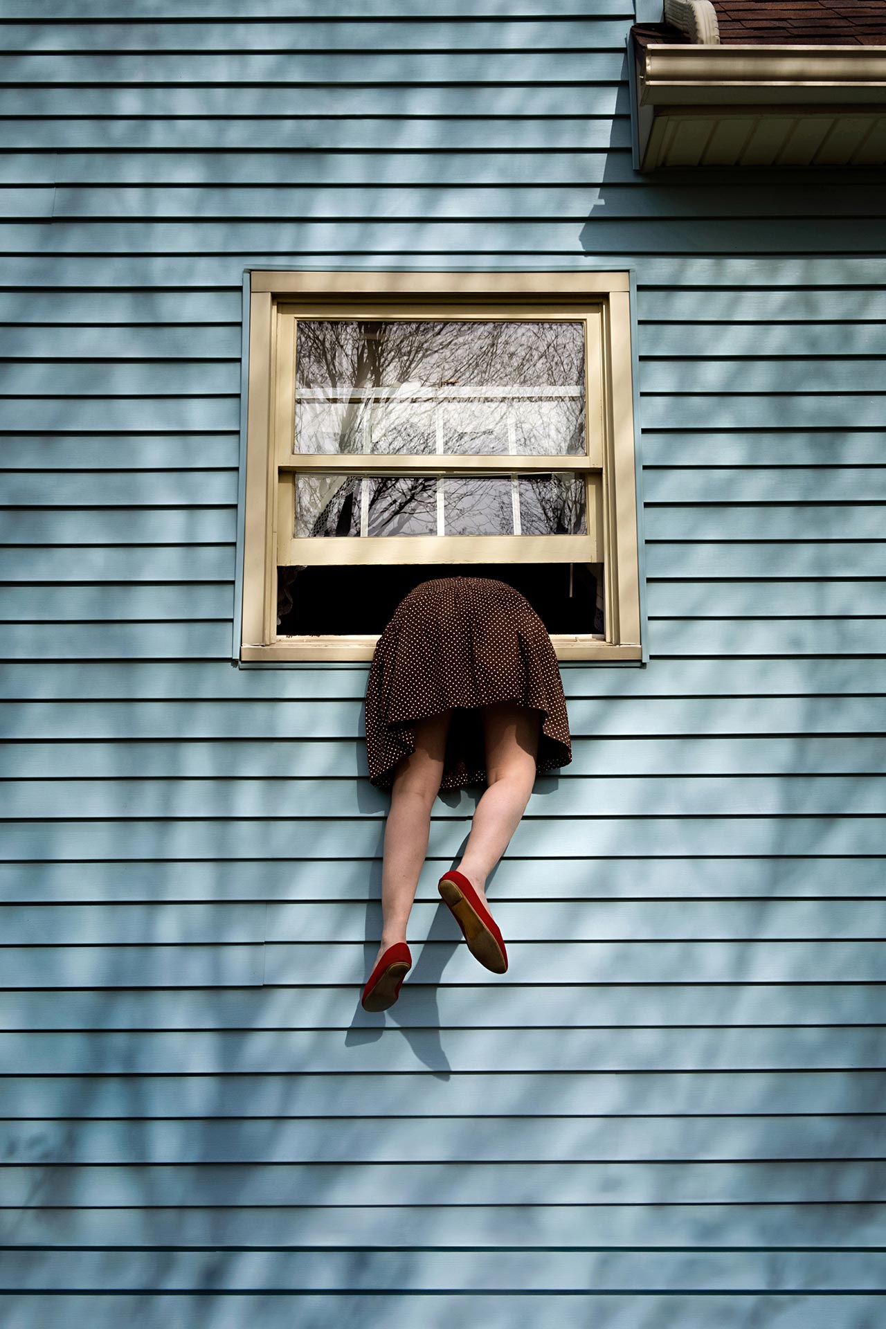 梦幻般的花语 | 摄影师 Brooke DiDonato 的家与创作-3