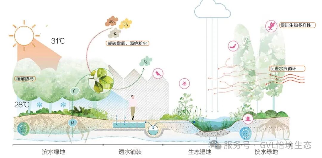 独家干货！在住宅区里建一个神奇水花园-10