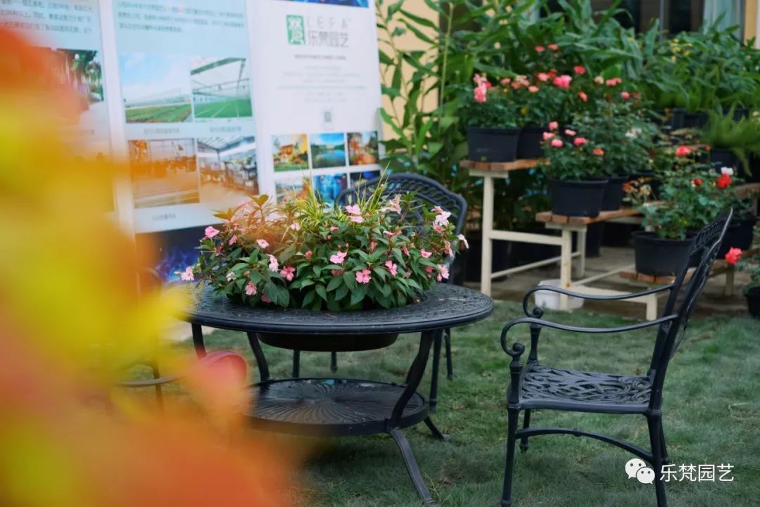 乐梵园艺打造成都花木博览会快闪花园,惊艳全场-28