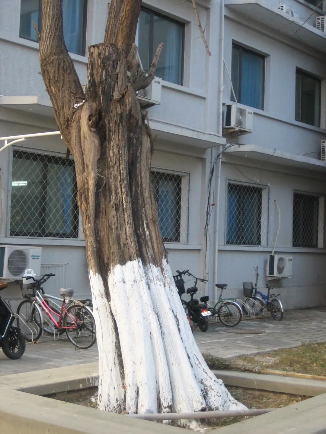 BoiEwan  局部北京-9