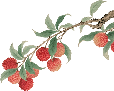 飞虹焕古韵，快来“桥”一“桥”！-2