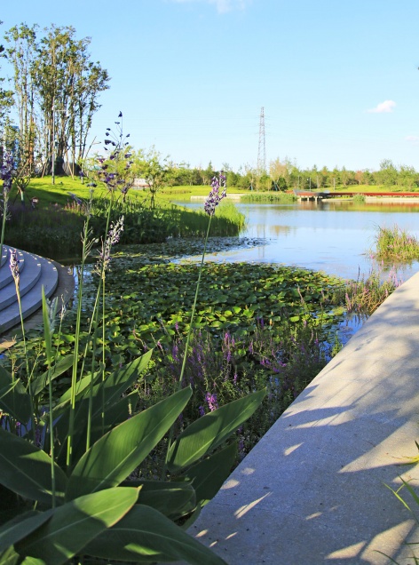 胶梦水韵(胶州三里河公园中央商务区段1标段)-158