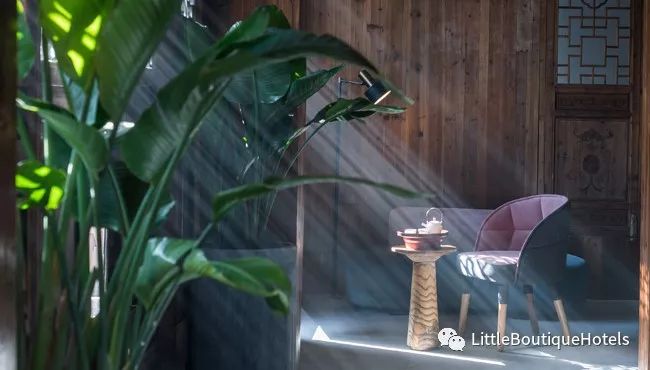 诗莉莉泛蜜月·青梅学社 | 8000㎡徽派园林中的浪漫温泉度假空间-46