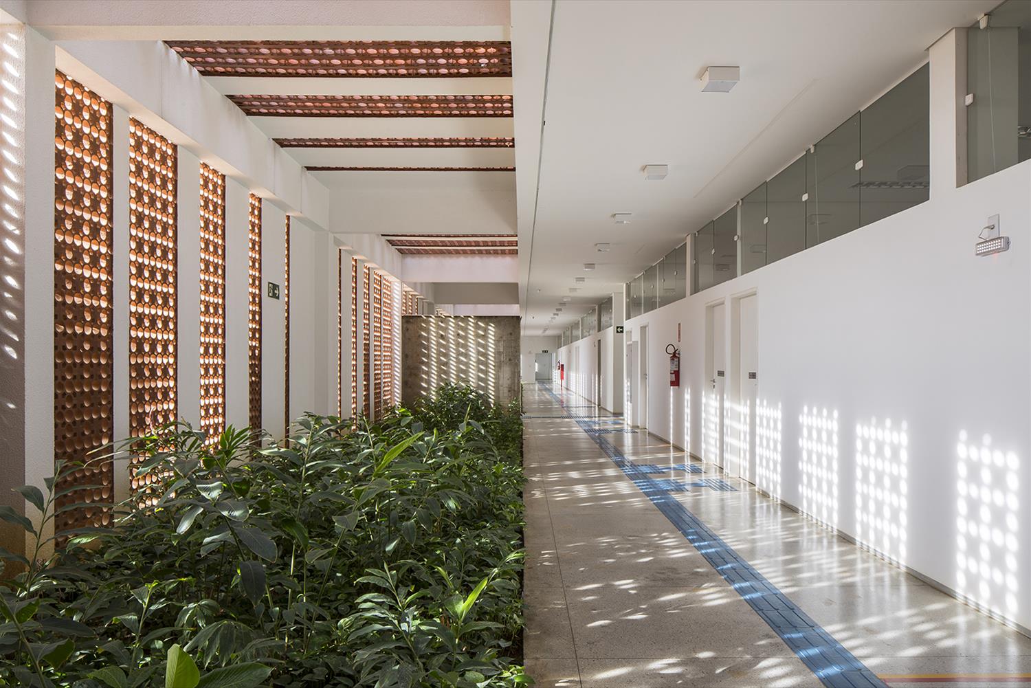 Unileão 特殊民事和刑事法庭建筑设计-8