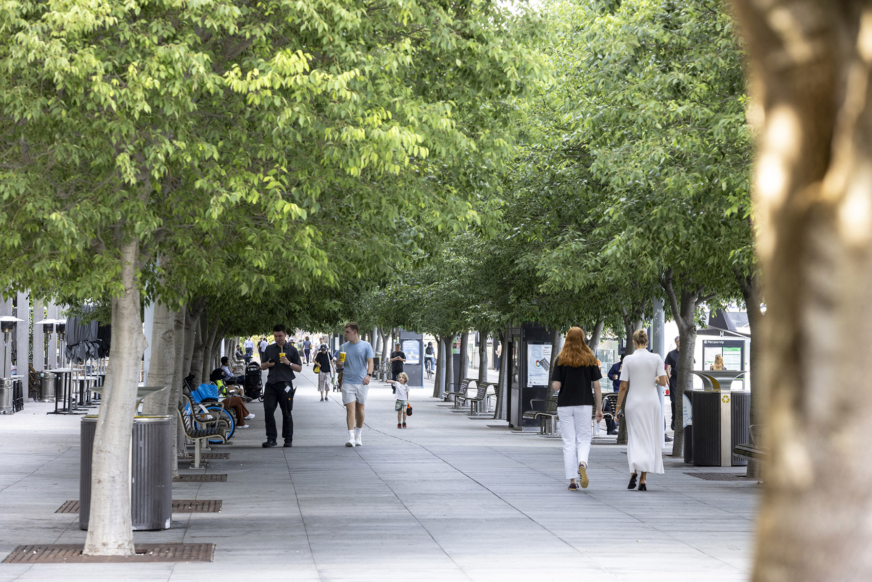 Barangaroo South区域规划丨澳大利亚悉尼丨RSHP-86