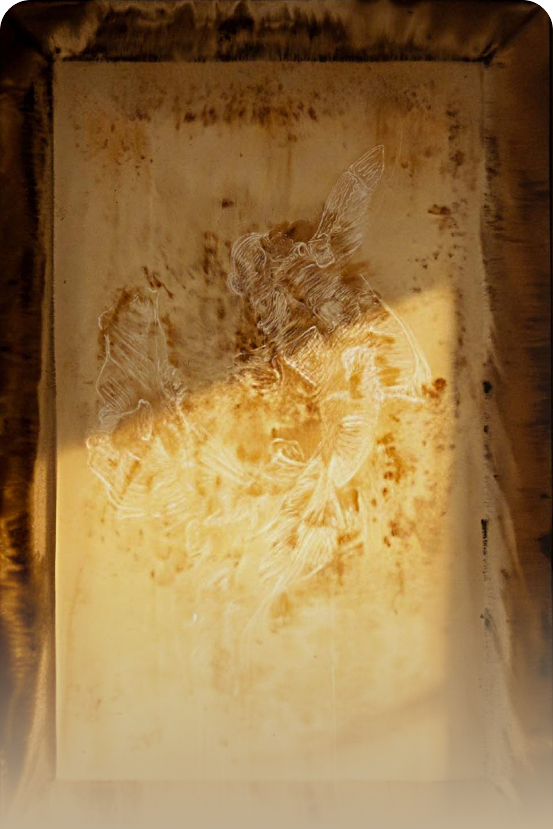 麓湖·天琴澄音丨中国成都丨万华集团室内设计中心,澍田设计,万华同人艺社-6