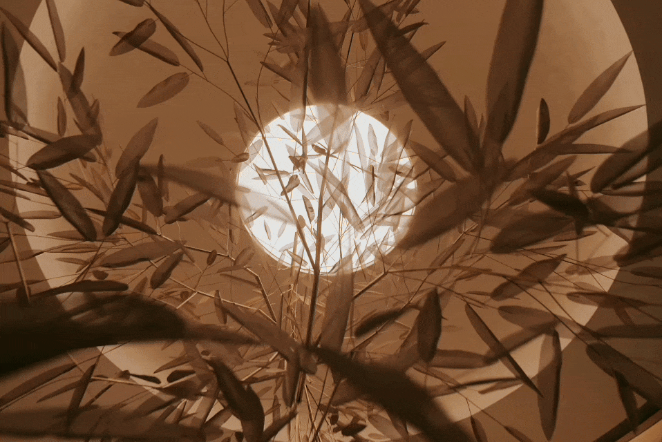 新作丨WSD x 璞玉之境的诗意美学一西安金茂璞逸东方会所 !-16