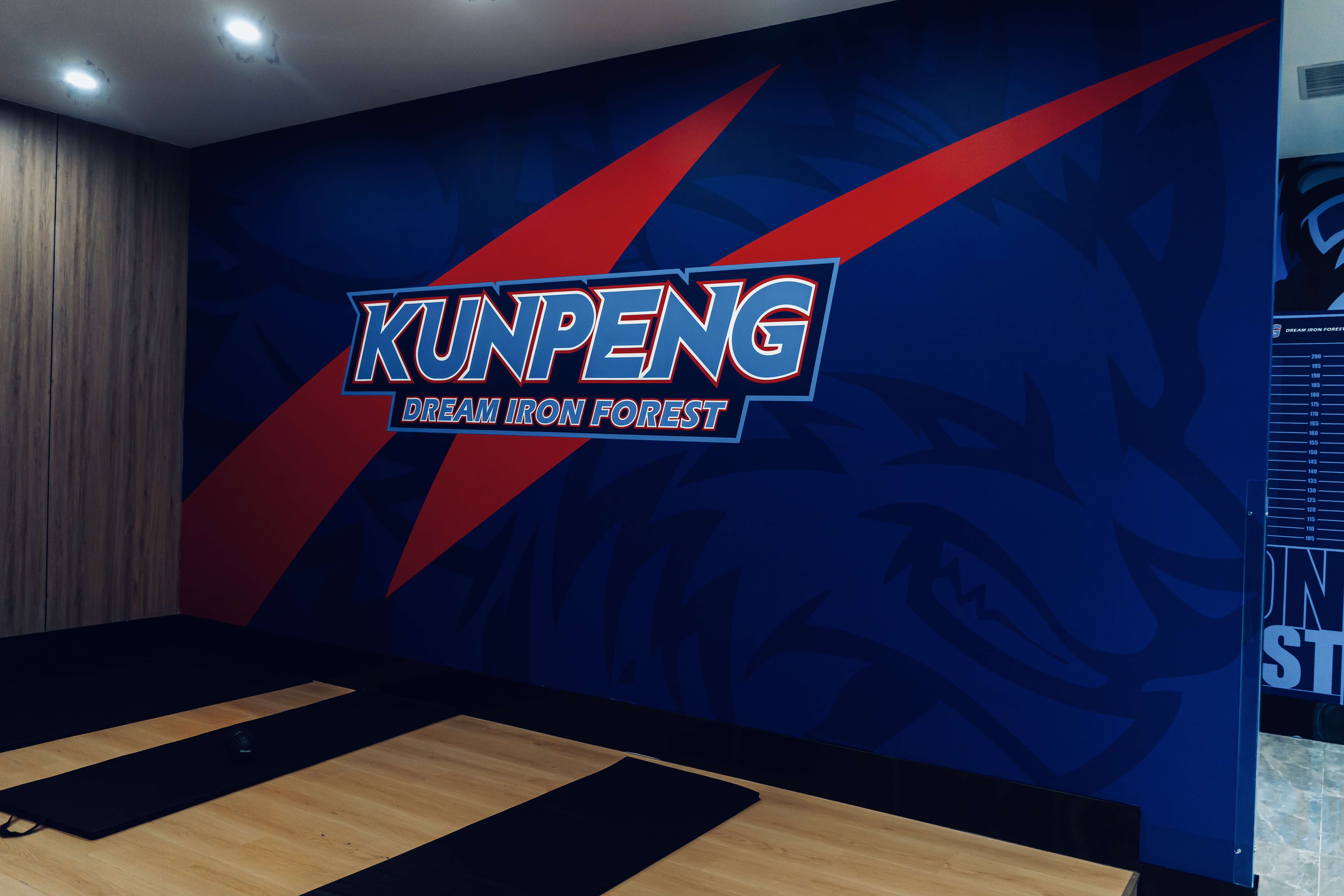 铁森林健身鲲鹏馆空间设计-7