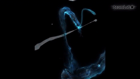 teamLab 2017 深圳北京大展：舞蹈吧，艺术！寓教于乐的未来游乐园！-62