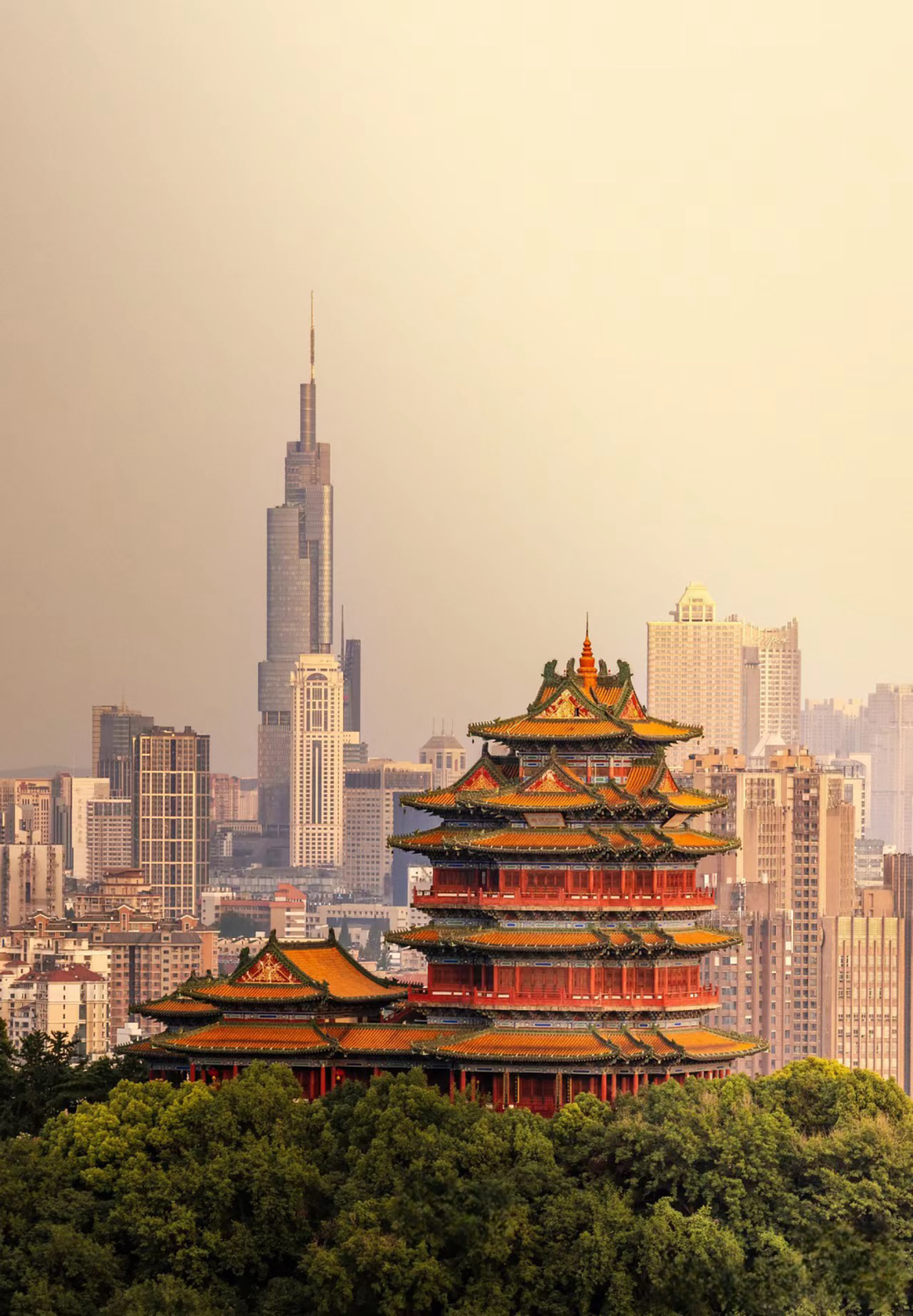 首开桃园金茂府丨美国纽约丨PJD,璞业嘉阁,SRD,赛瑞迪普-1