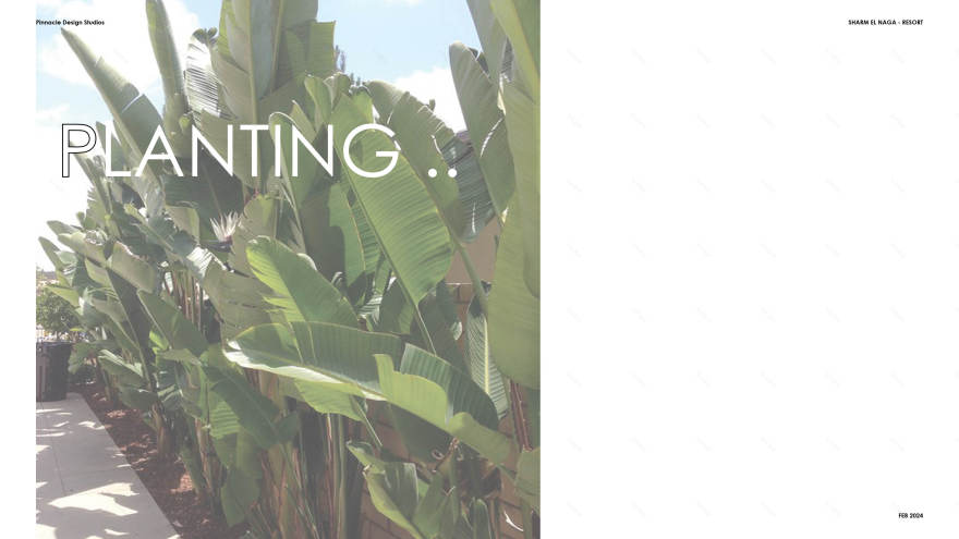 体育与娱乐区概念设计丨埃及丨Pinnacle Design Studio.-25