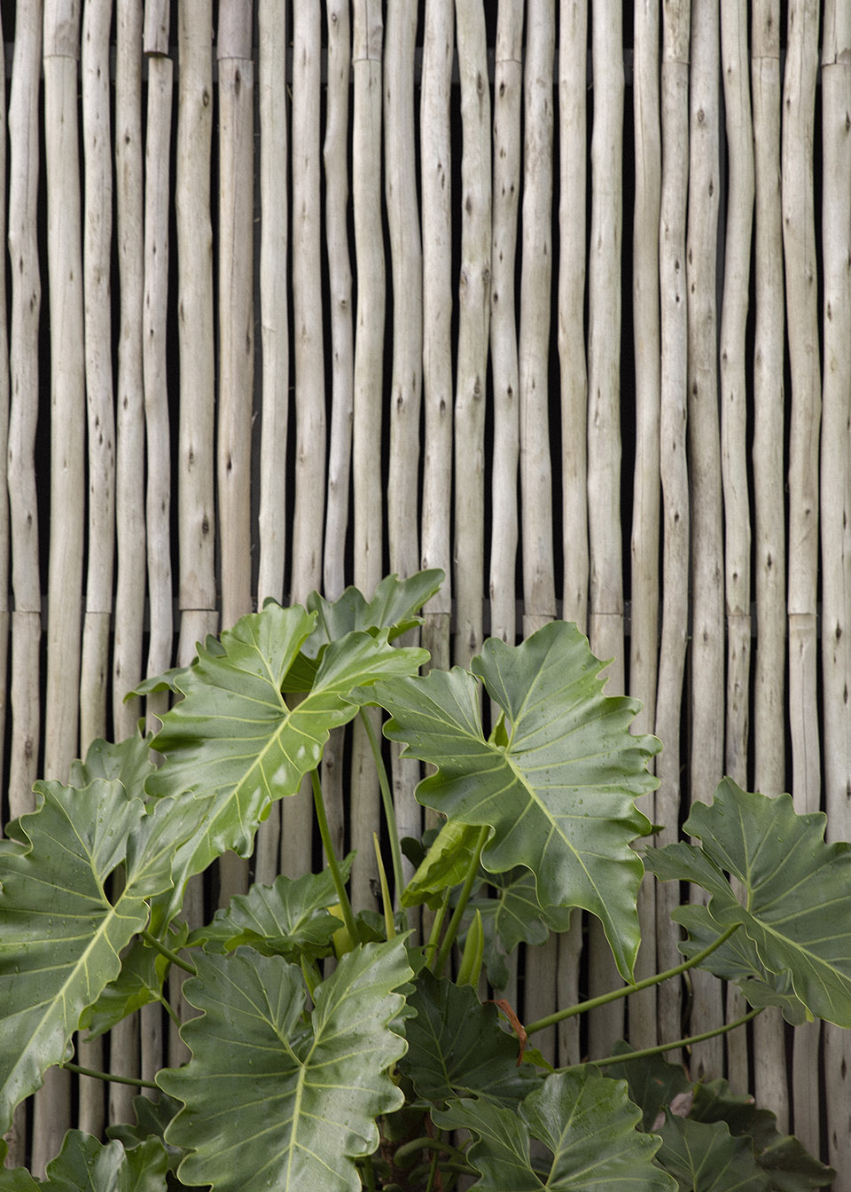 巴西Trancoso住宅丨studio mk27-72