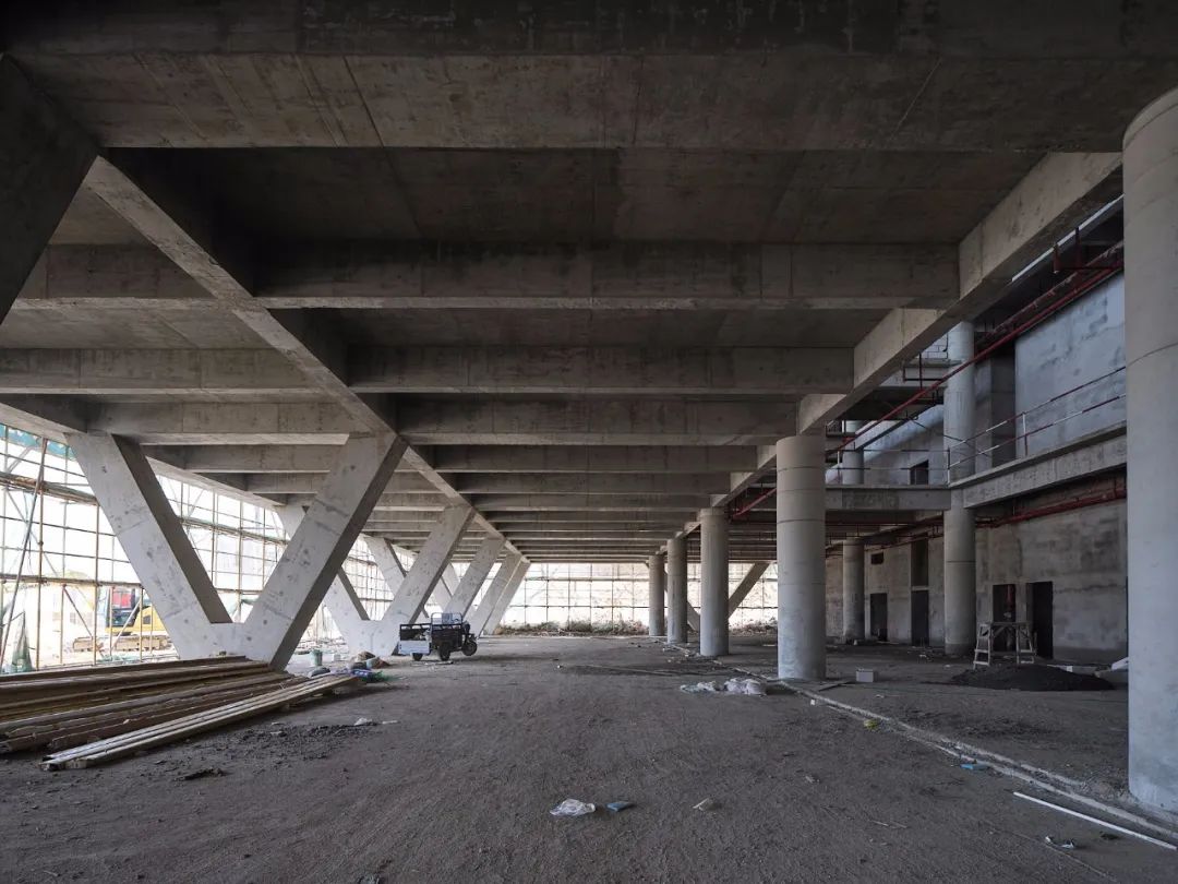 海边的“童年”高校 · 立木幼师学校丨立木 L&M-16