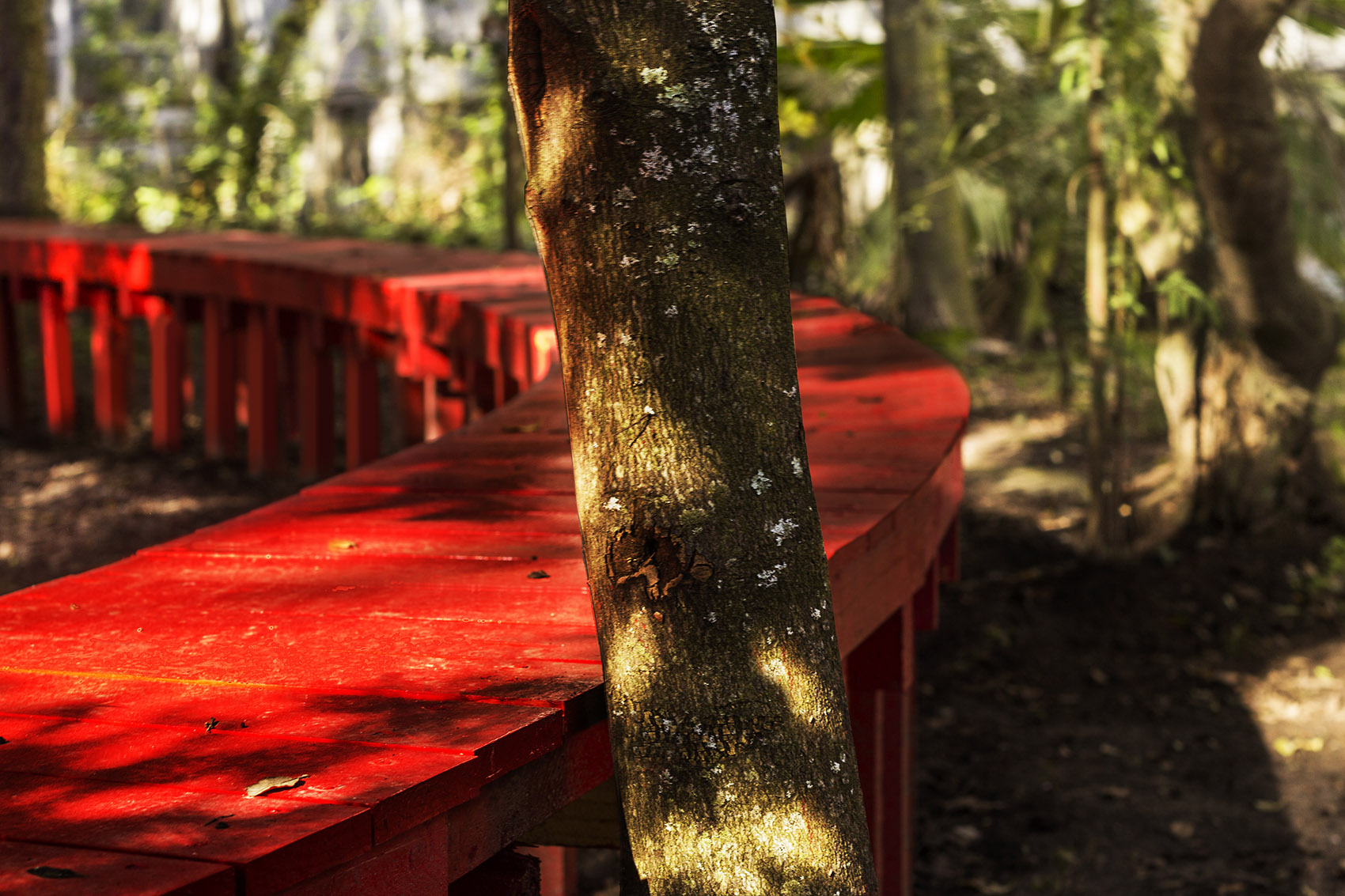 无限长凳，智利 / Azócar Catrón-24