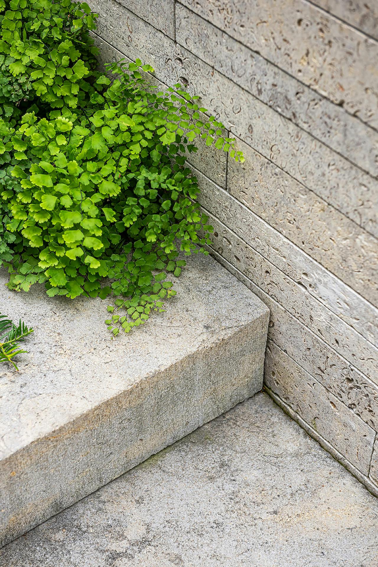 新月丨美国达拉斯丨HOCKER-15