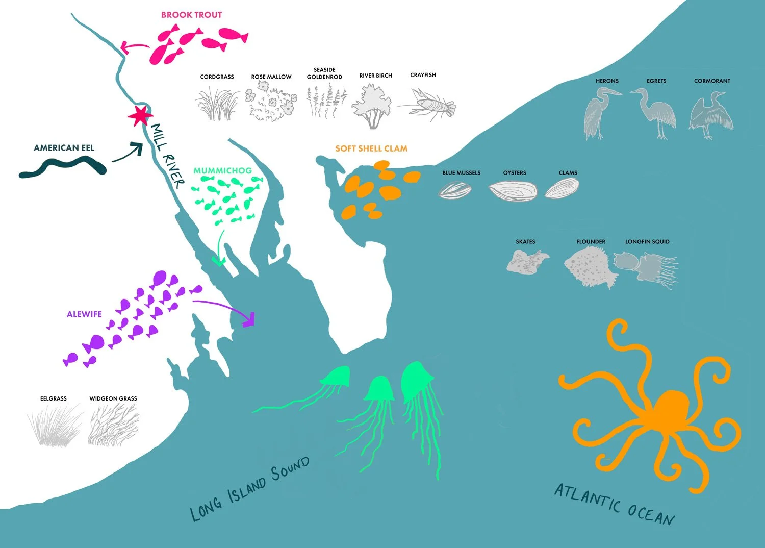 米尔河公园地形工程丨美国康涅狄格-3