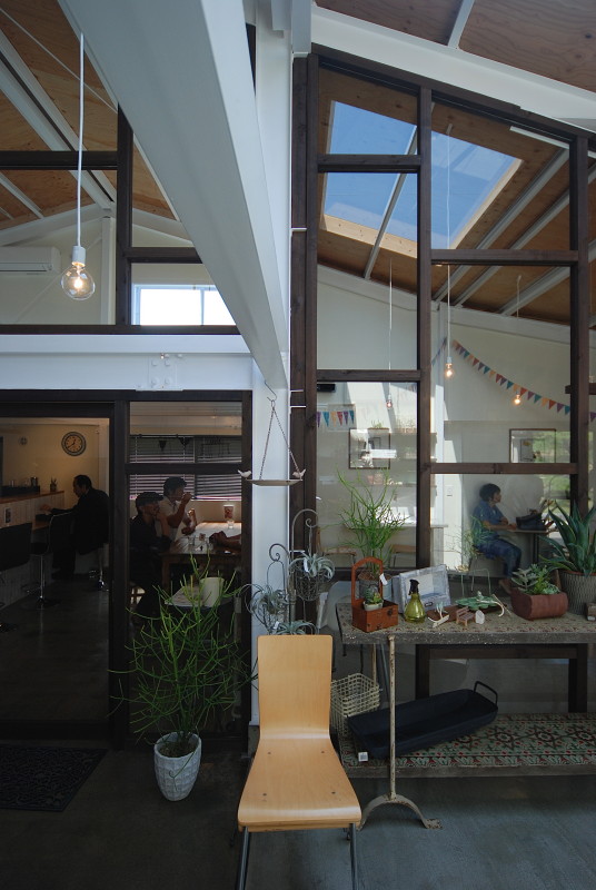 cotyledon #122  多肉植物専門店+カフェ丨日本宫崎丨有限会社COGITE-11