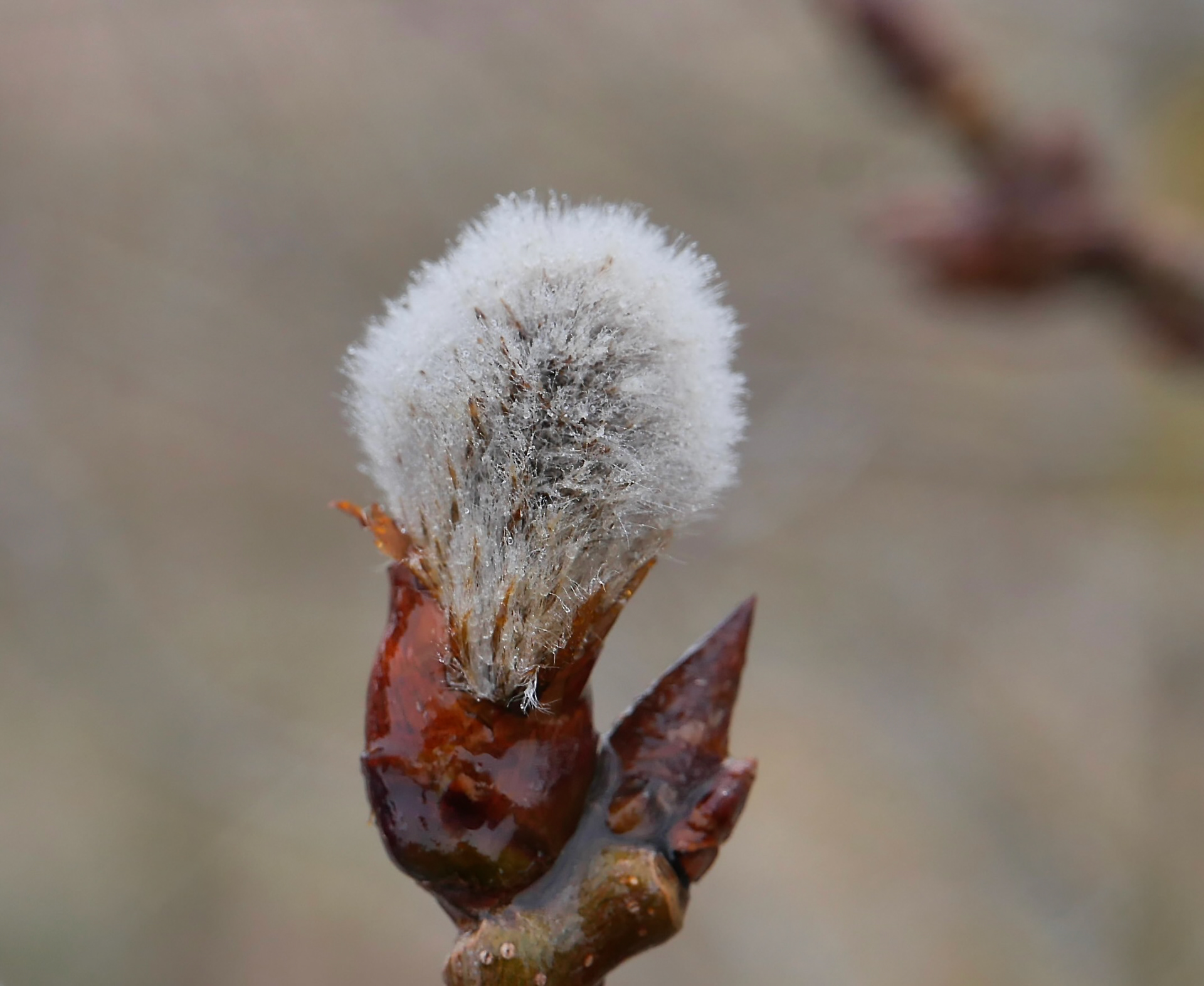 2026年复活节之旅-3