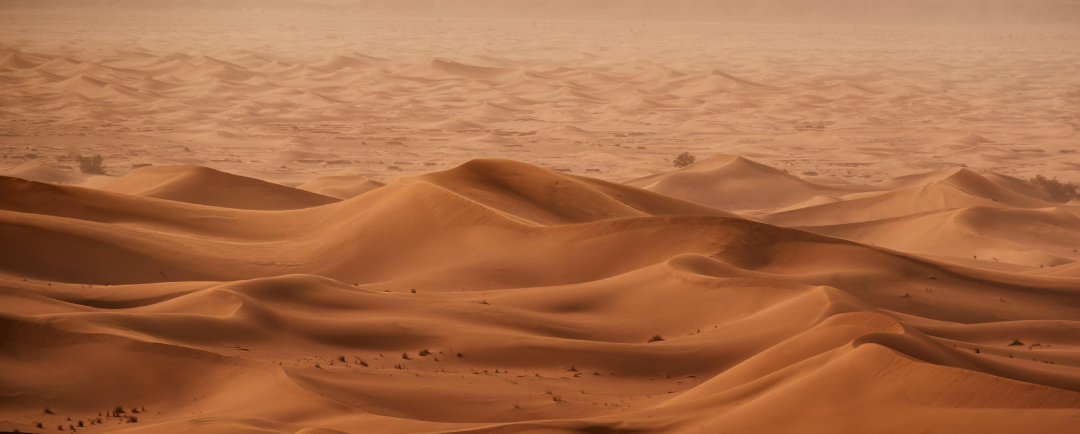 新疆中绿电米东综合服务中心丨中国乌鲁木齐丨HKS建筑设计-14