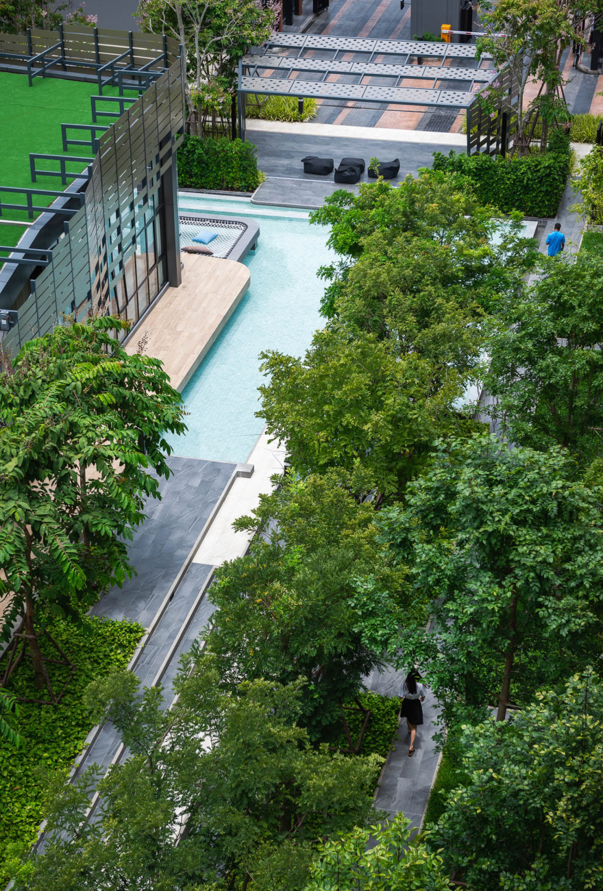 活力大区(Plum Alive)-42