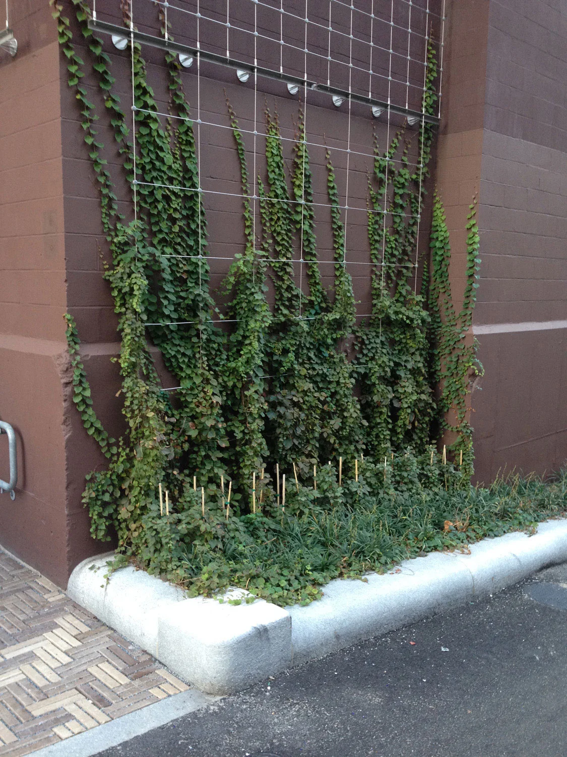 BAC绿色小巷丨美国丨由Halvorson带领的团队-24