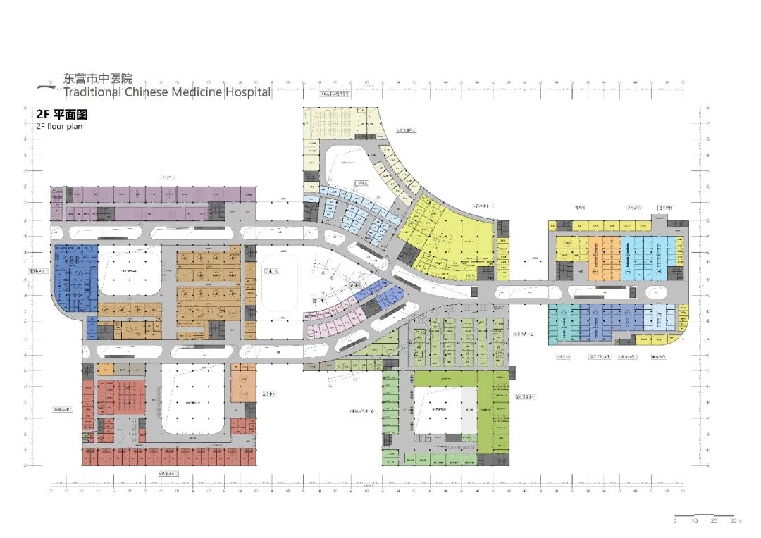 三个医院和一个“大”的梦想丨中国东营-56
