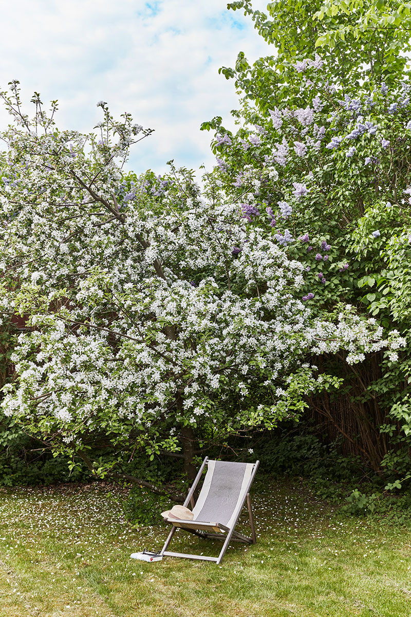 丹麦设计师的温馨避风港-16