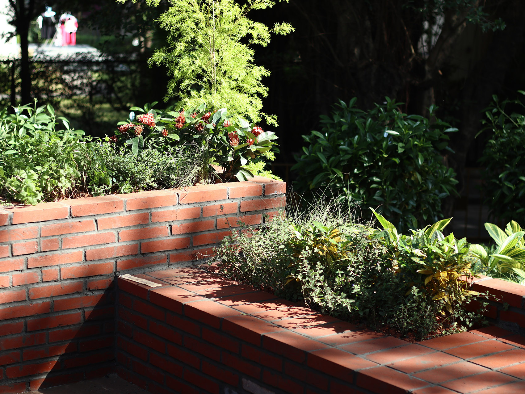 深圳鲸山别墅社区共建花园丨中国深圳丨哈尔滨工业大学（深圳）建筑学院公共空间实验室-13