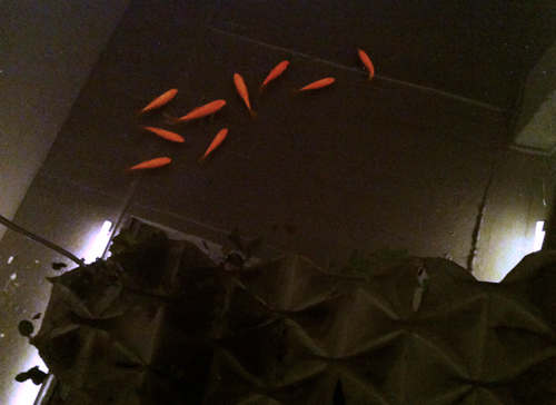 Feedscape: Interactive Installation – AWARE-11