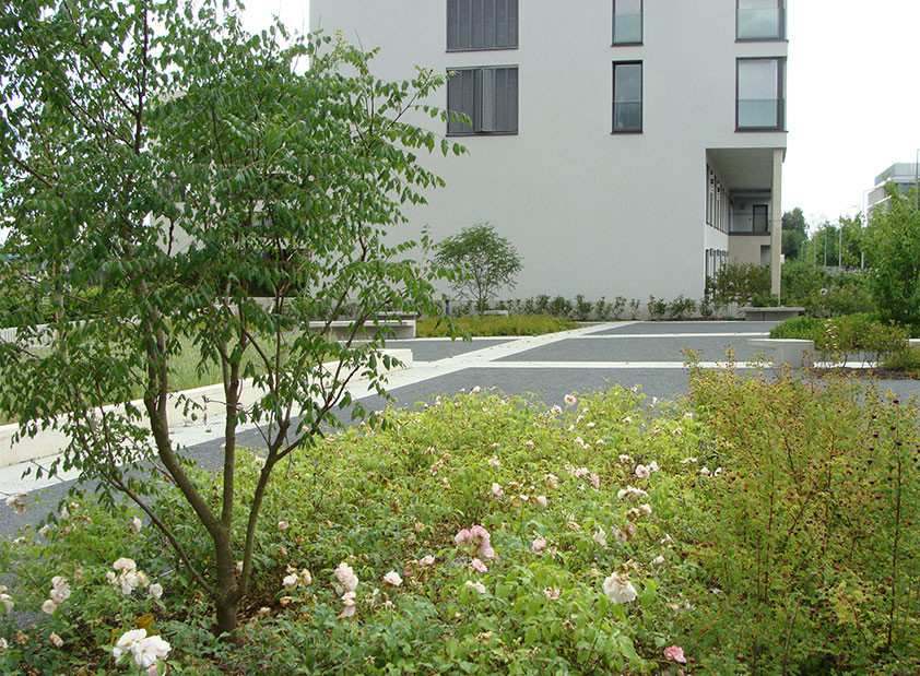 卢森堡Grünewald新住宅区规划丨OKRA景观建筑师事务所-11