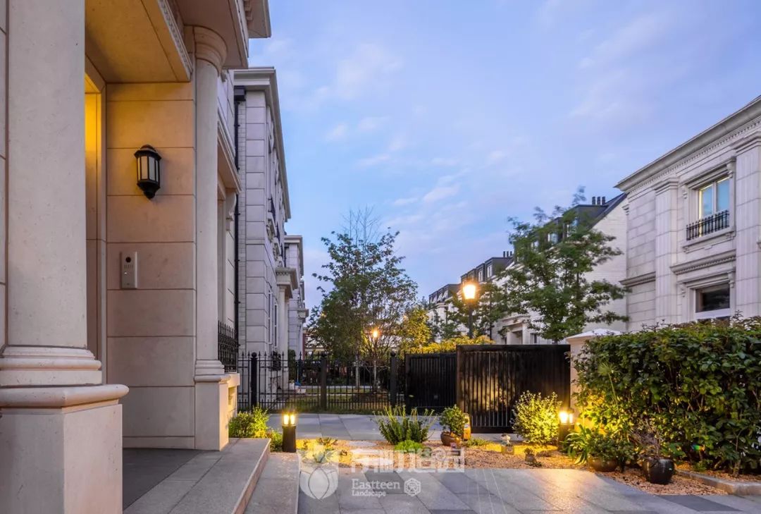 花园植物搭配的艺术与功能-53