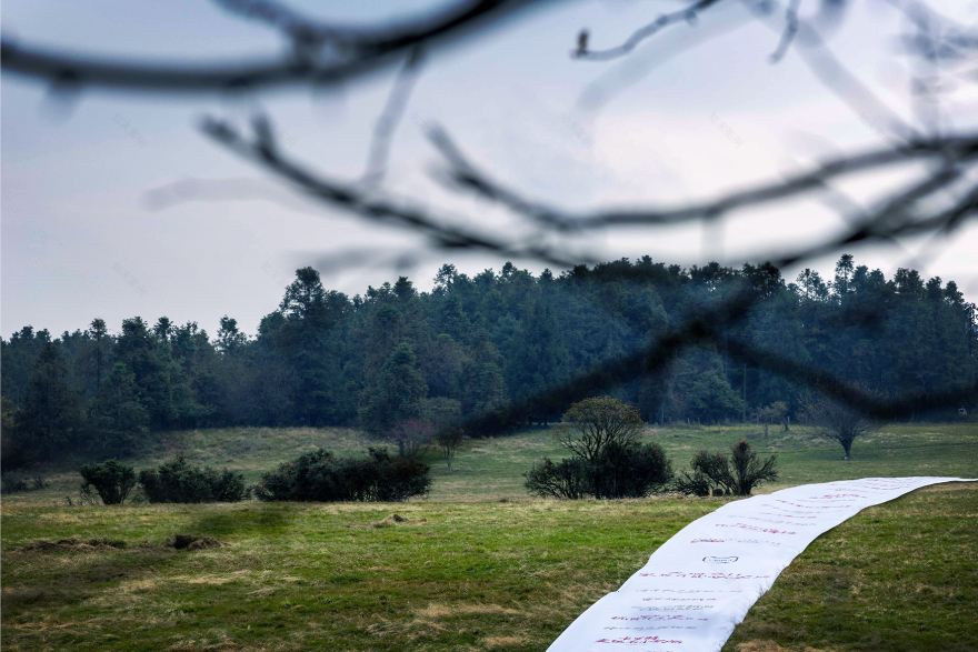 天猫双 11 必买榜丨中国四川丨天猫,天与空,不是美术馆-19