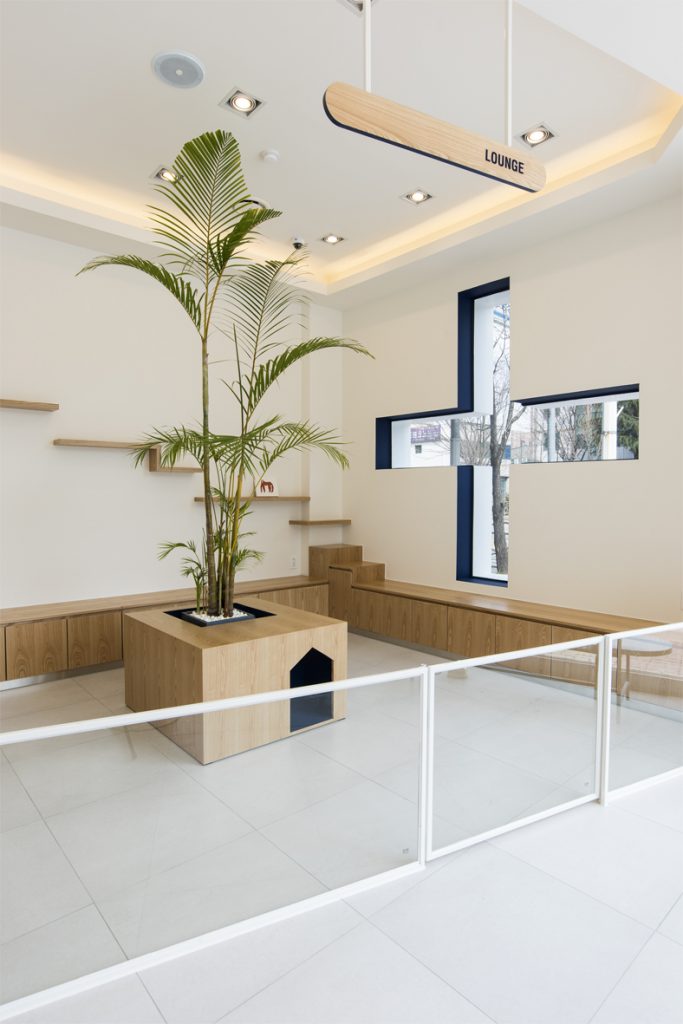 明亮温馨的 30 平米动物医院设计-5