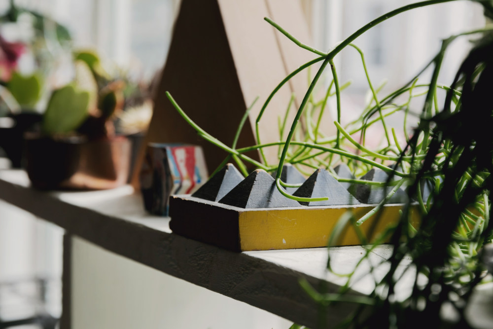 伦敦设计师打造活力出租屋，细节尽显现代生活-6