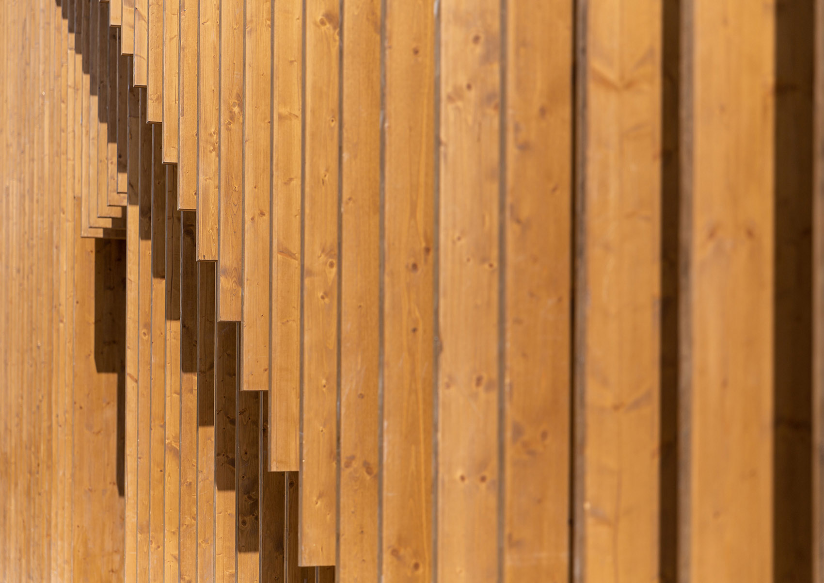 绿色拱门&2020迪拜世博会比利时馆丨阿联酋迪拜-154