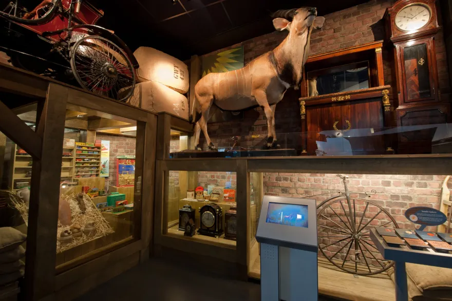 Museum of Liverpool(利物浦博物馆)丨英国利物浦丨Redman Design-8