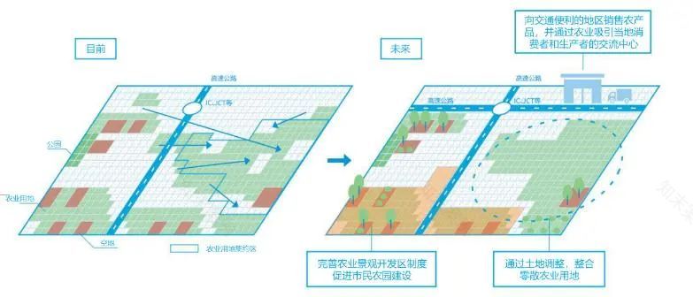 广州都市现代农业产业链高质量发展策略及规划丨中国广州丨广州市城市规划勘测设计研究院-35