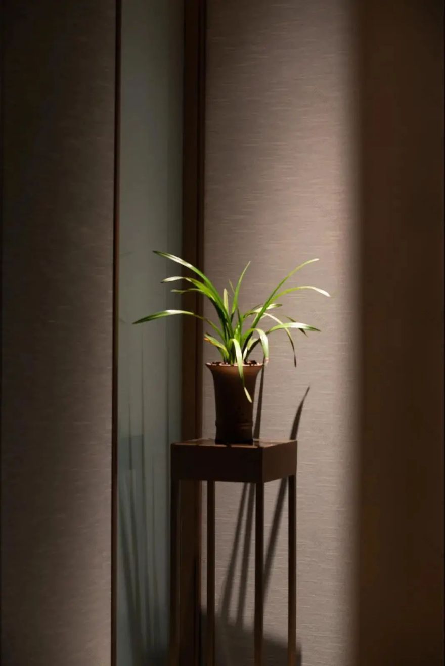 杭州名人名家餐厅,江南韵味与当代精神完美融合-18