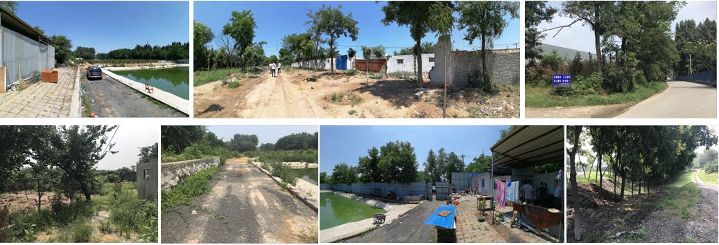 当杏园再着新妆 | 风林杏苑绿化项目建成小记-16