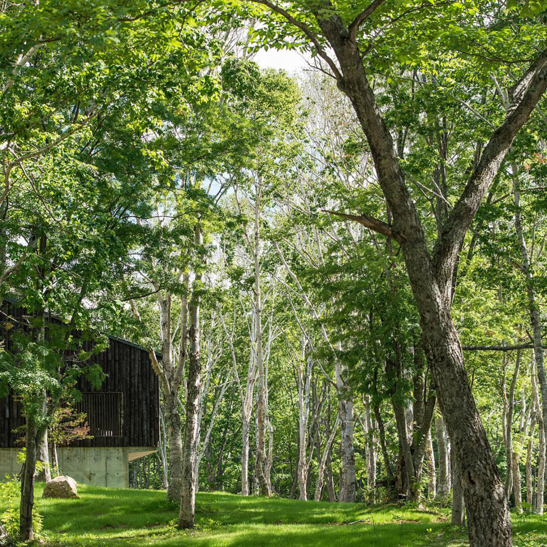 坐忘林酒店丨日本丨中山真琴-6