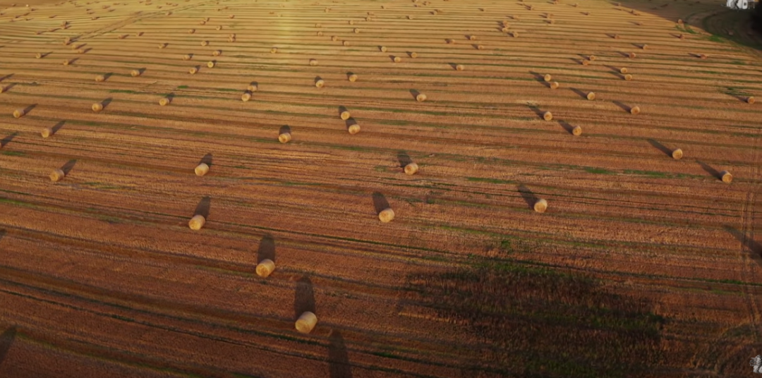 90后妈妈带家人住进森林别墅丨德国丨Thuy Dao和老公T-24