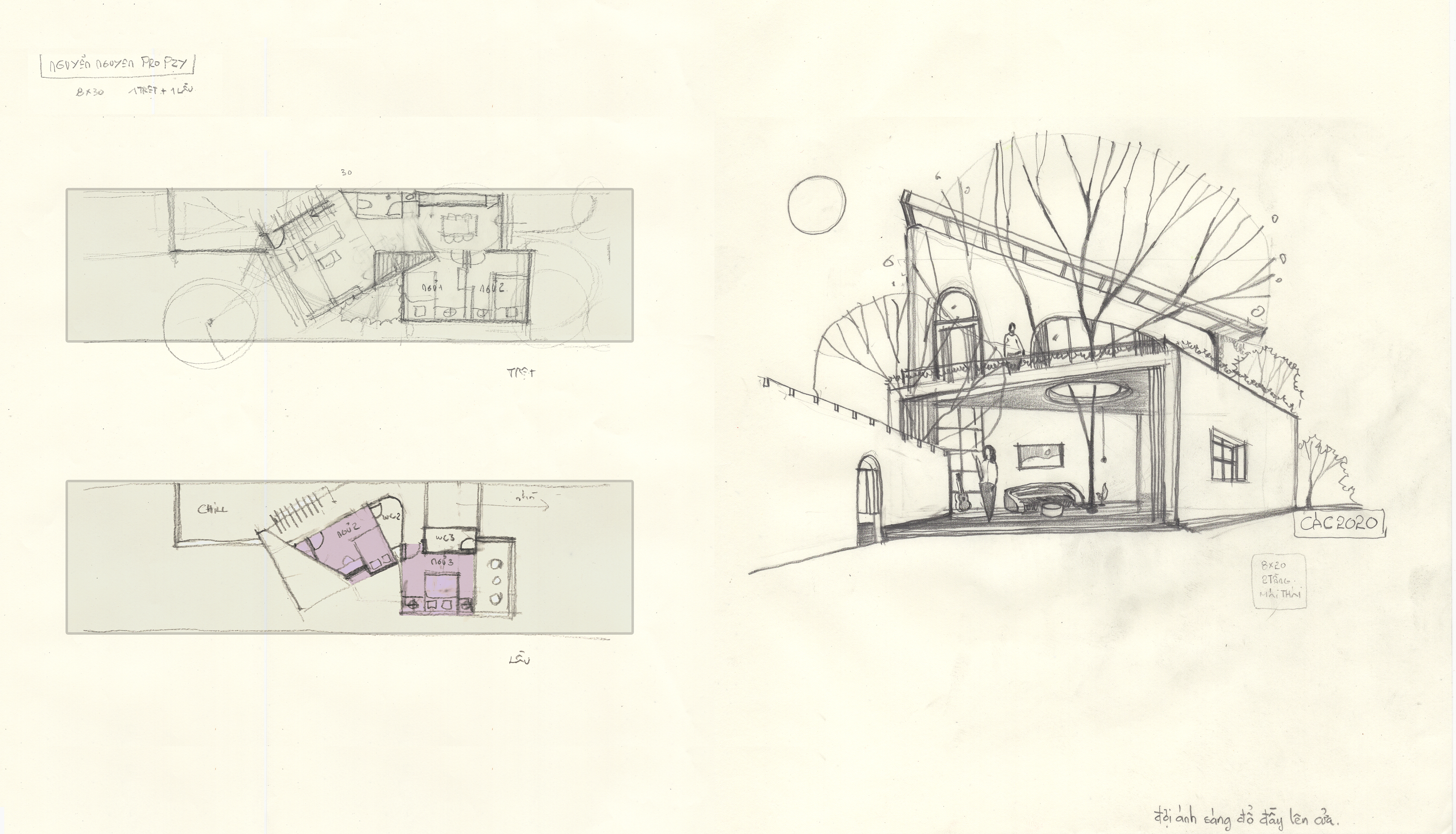素描帮助专辑-20