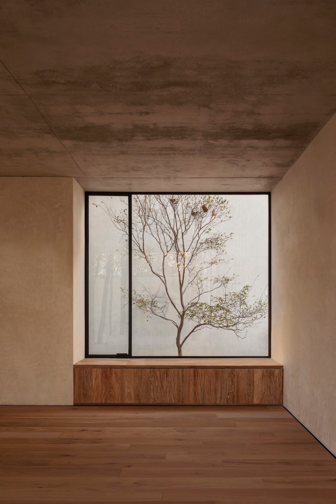 Caribu 住宅丨墨西哥丨Taller Tequio-40