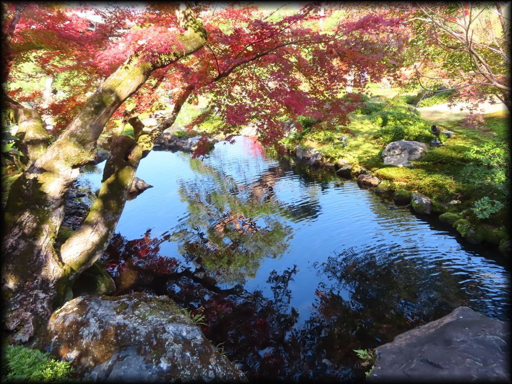 对龙山庄丨日本京都丨七代目小川治兵卫（植治）-47