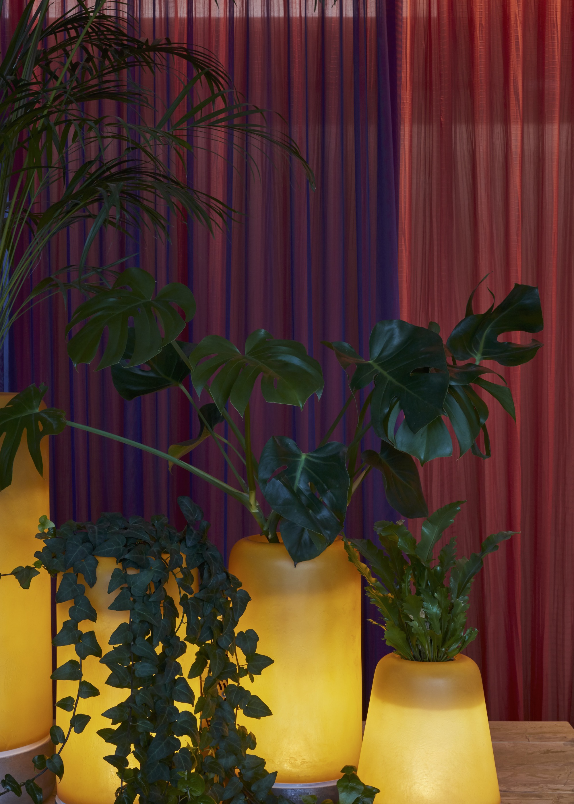 翁达食品和饮料,骨头丨阿联酋迪拜-13