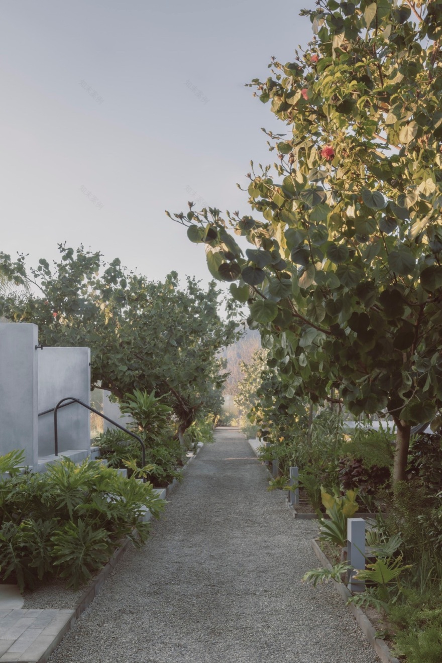 热泉花园,墨西哥丨Pérez Gómez Arquitectura-33